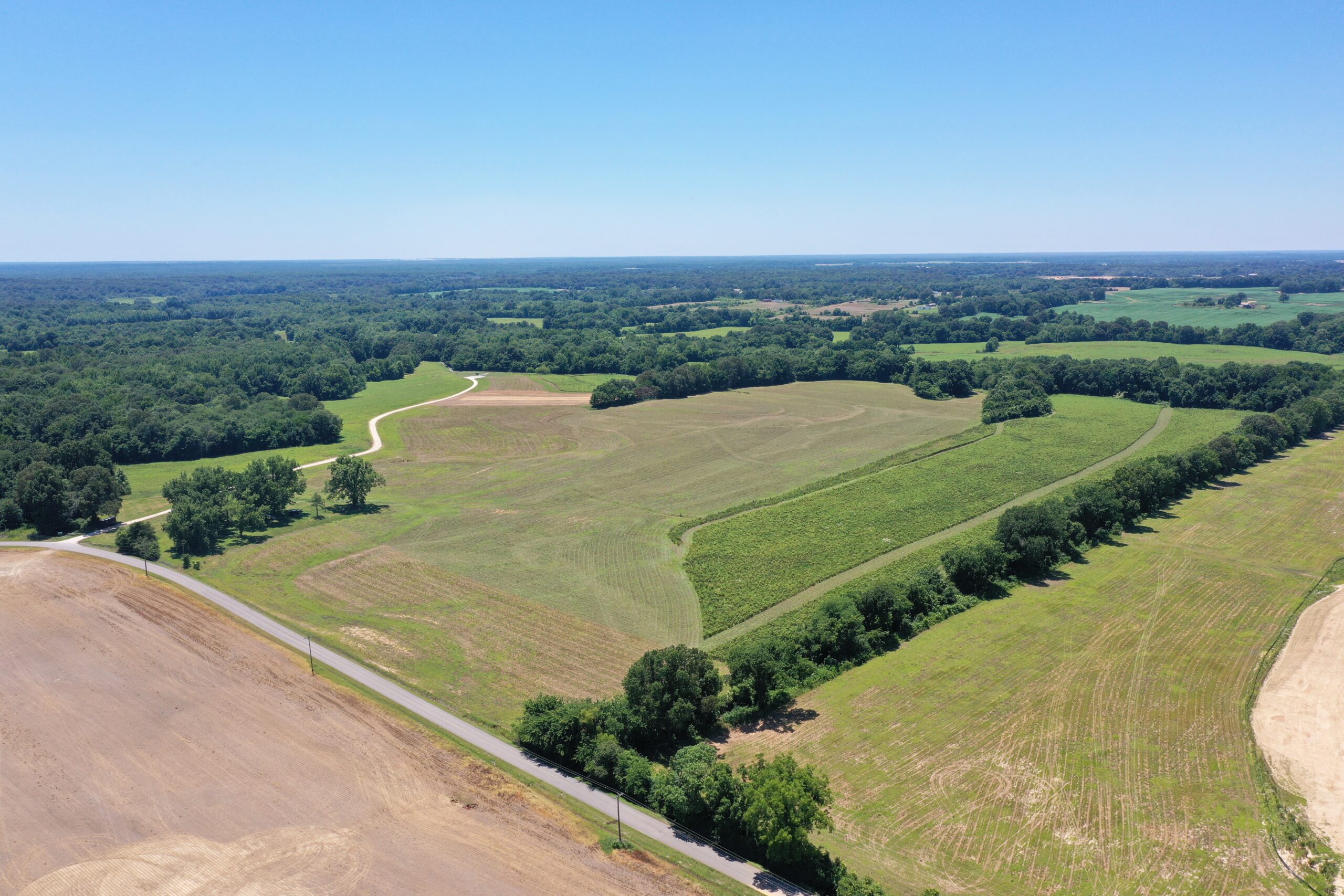 Aerial view of open farmland with green fields, scattered trees, a narrow road, and dense forest in the background under a clear blue sky.