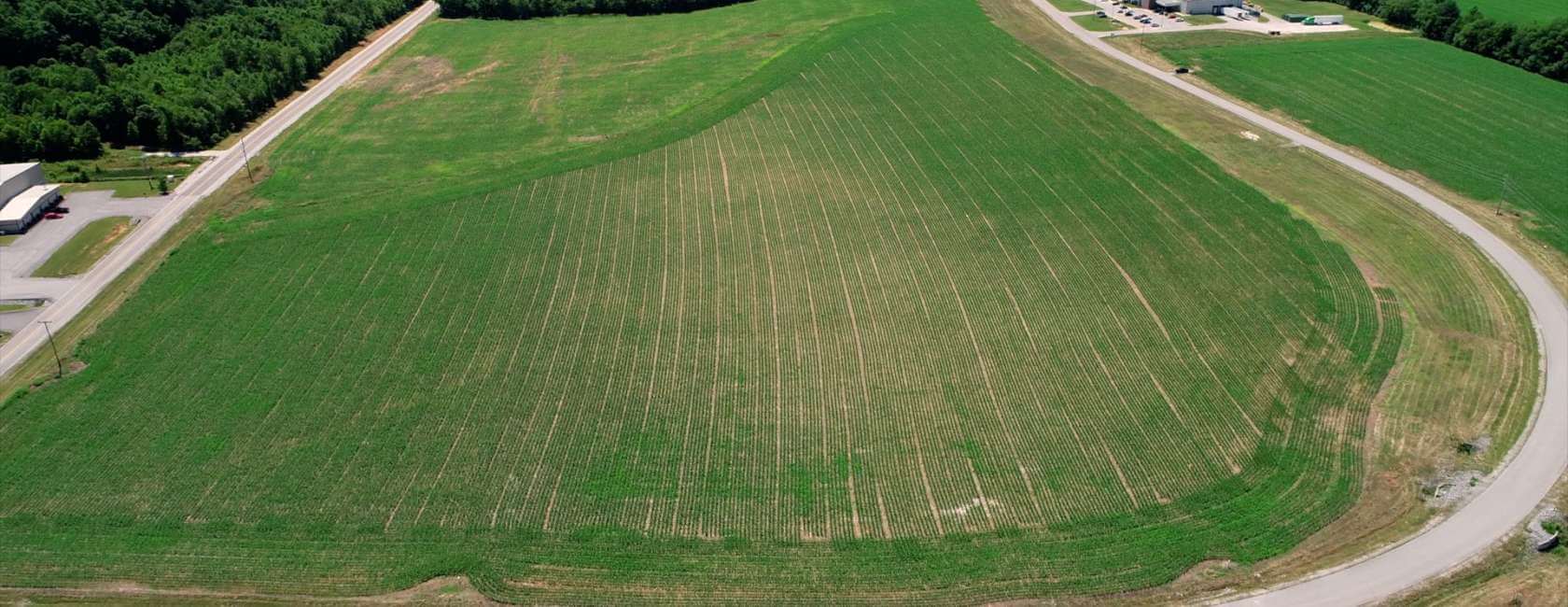 A large, green agricultural field with faint lines, bordered by a curved road and surrounded by trees and a few buildings, seen from above on a clear day.