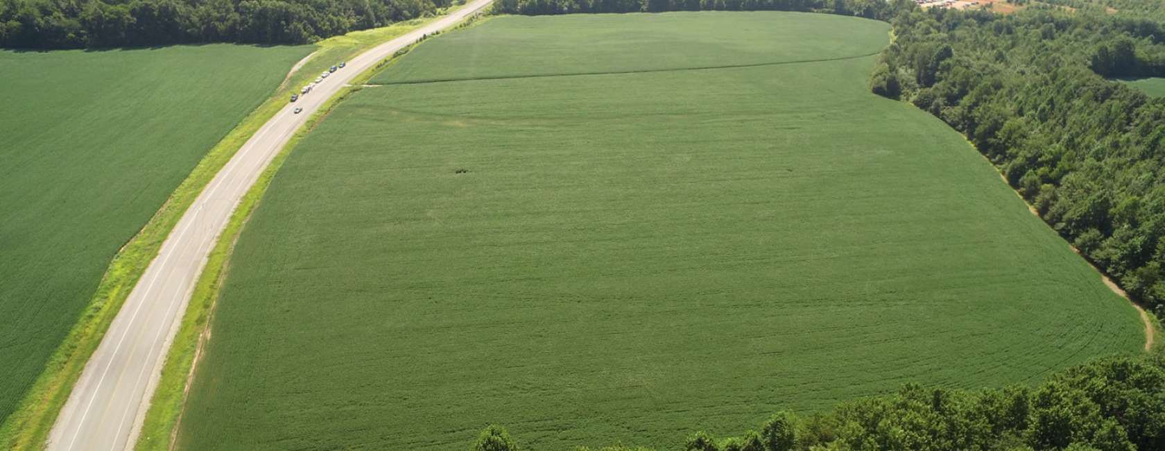 Aerial view of a large green field bordered by a road on the left and dense trees on the right, with several cars driving along the road.