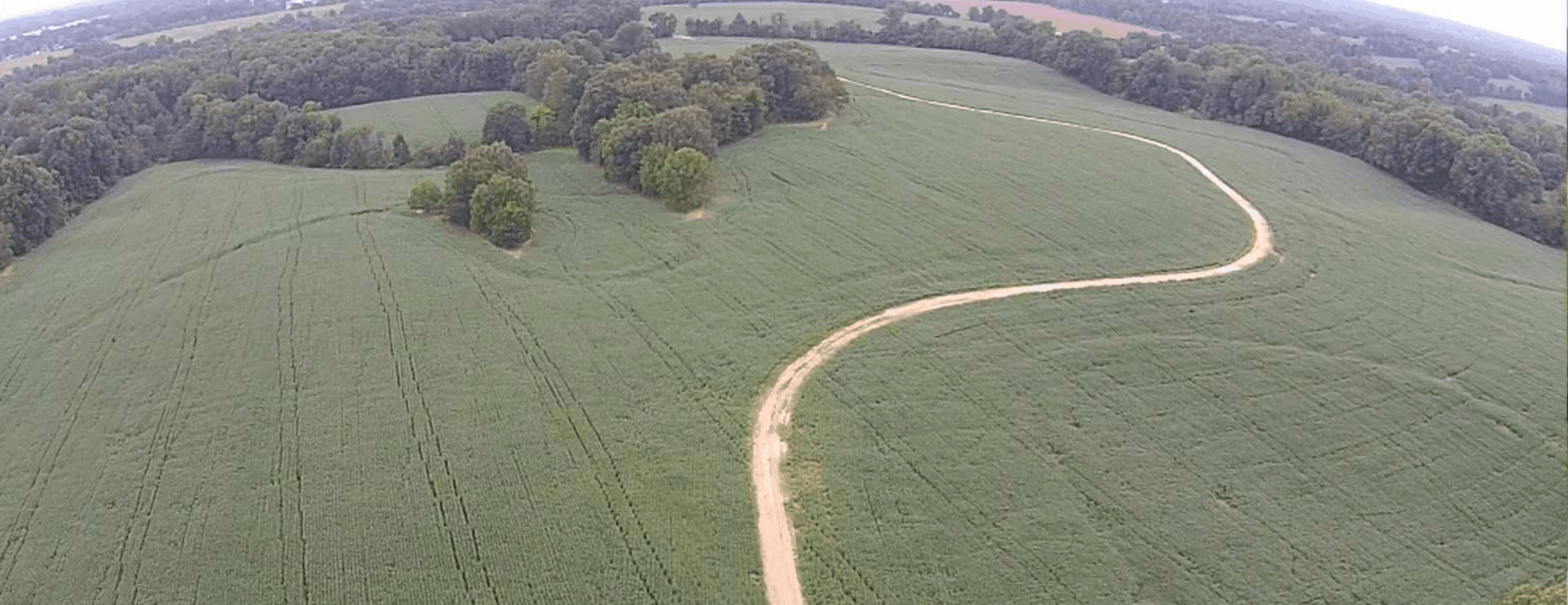 A winding dirt road curves through green fields, bordered by clusters of trees and forested areas, under an overcast sky in a rural landscape.