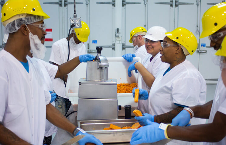 A group of workers in white uniforms, yellow helmets, and blue gloves process orange vegetables using a machine in a food production facility. They are smiling and working together around a stainless steel table.
