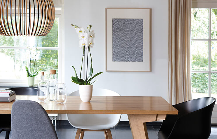 A modern dining room with a wooden table, black and white chairs, a potted orchid, water bottles, books, large windows, beige curtains, and a framed abstract artwork on a white wall.