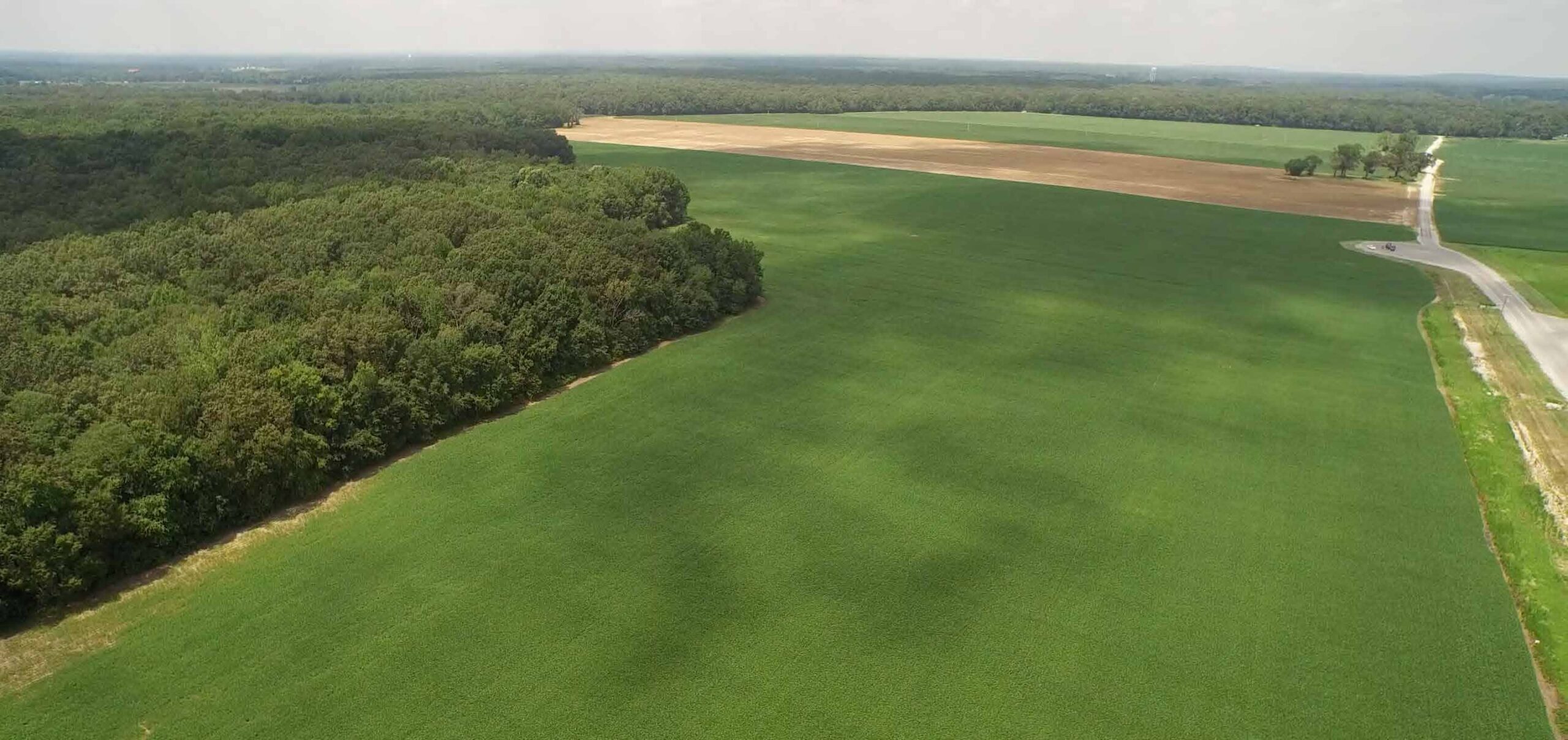 Aerial view of a large green field bordered by dense forest, with a brown patch of land and a road visible on the right side, under a hazy sky.