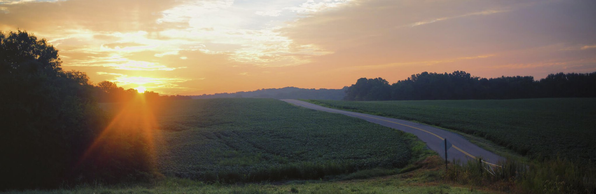 A curving country road runs through green fields under a vibrant sunrise, with trees silhouetted against the colorful sky and the sun shining brightly near the horizon.