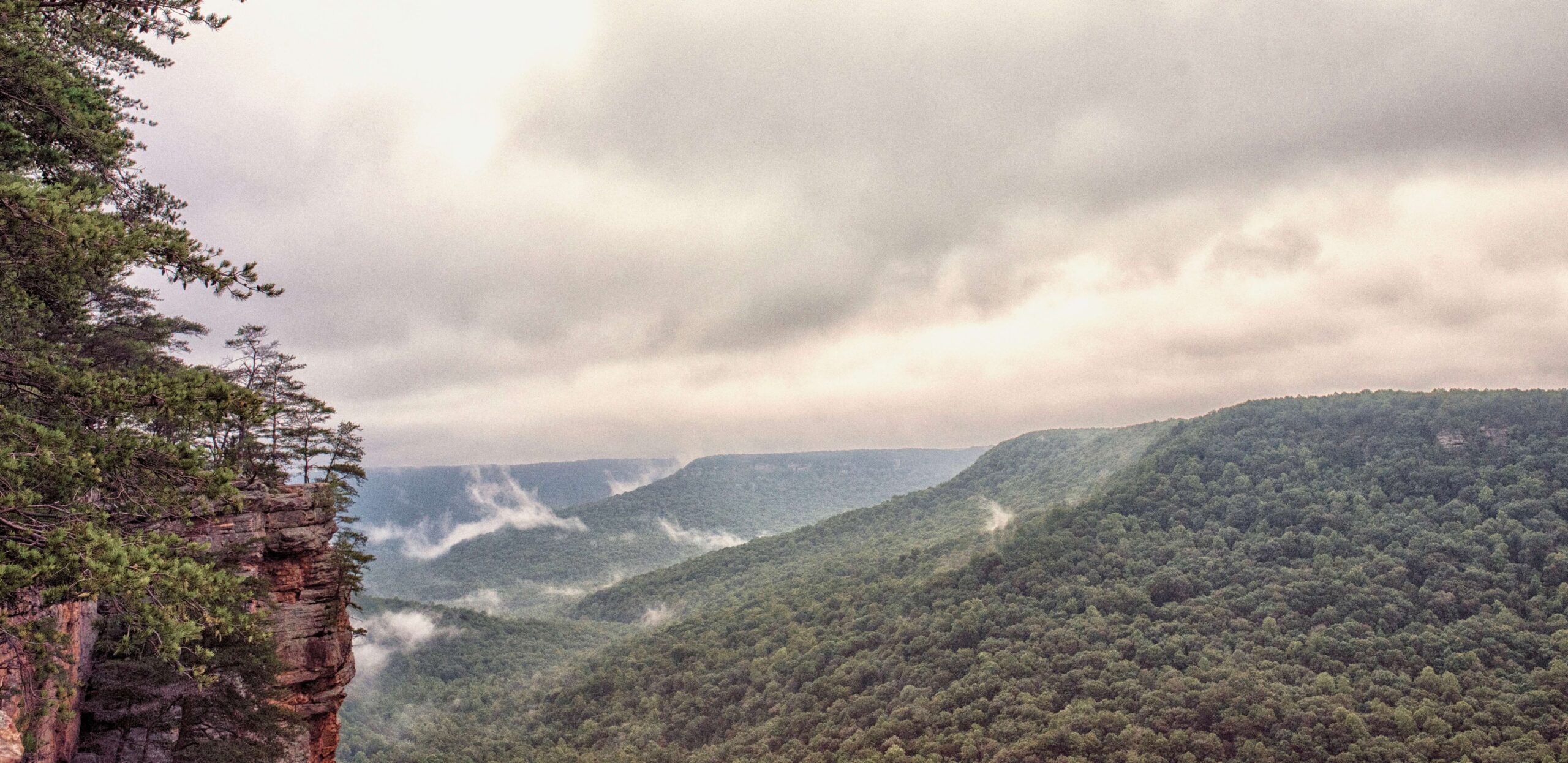 A lush, green valley with dense forest is seen under a cloudy, overcast sky. Mist rises from the trees, and rocky cliffs covered with foliage appear on the left side of the image.
