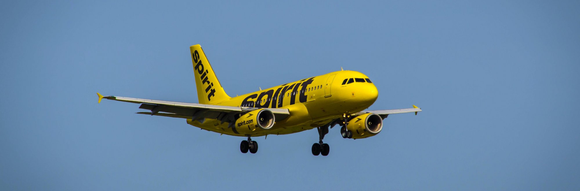 A bright yellow Spirit Airlines airplane is flying against a clear blue sky, with its landing gear extended as it approaches for landing.