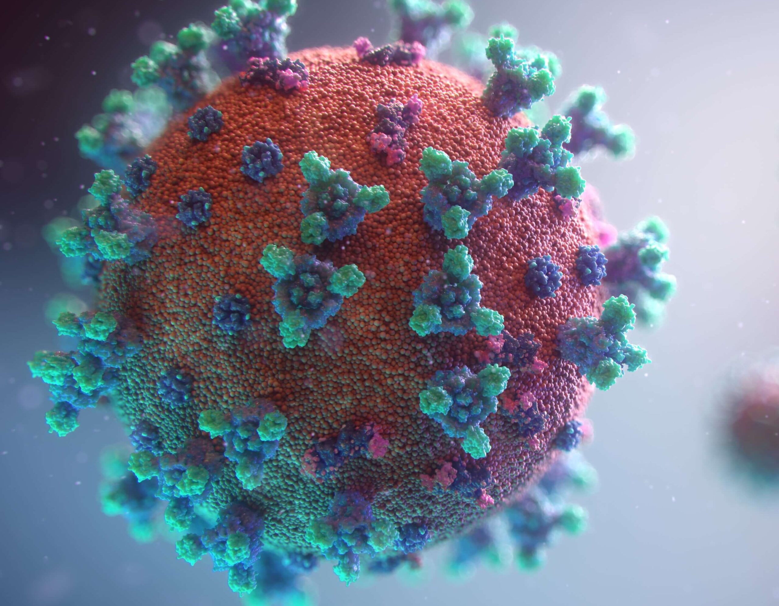 A close-up, 3D illustration of a virus particle with a textured, spherical surface covered in spike-like protein structures in purple and green, floating against a blurred background.