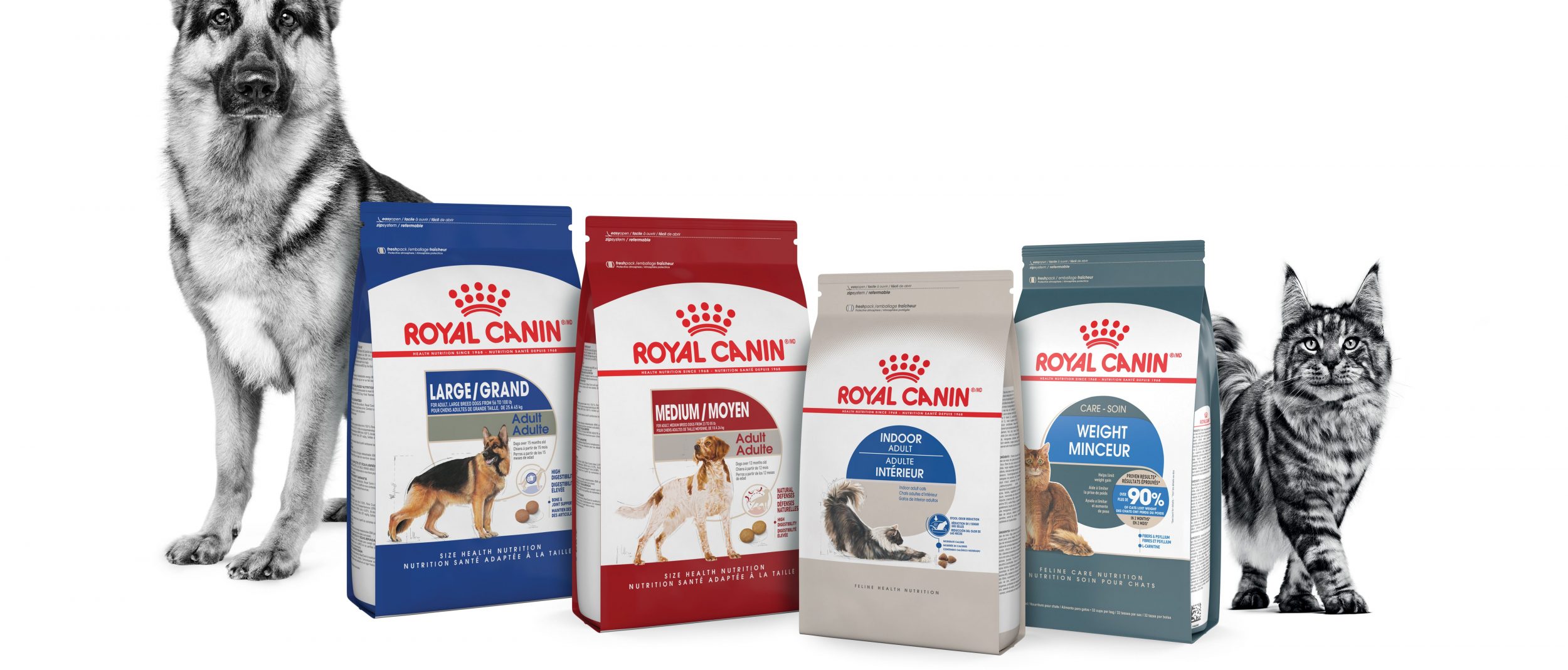A German Shepherd dog and a tabby cat stand behind four bags of Royal Canin pet food for different breeds and needs, including formulas for large dogs, medium dogs, indoor cats, and cats needing weight management.
