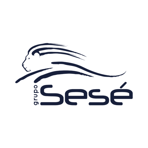 Logo of Grupo Sesé featuring a stylized lion outline above the word "Sesé" in bold font, with "grupo" written vertically to the left, all in dark blue on a light background.