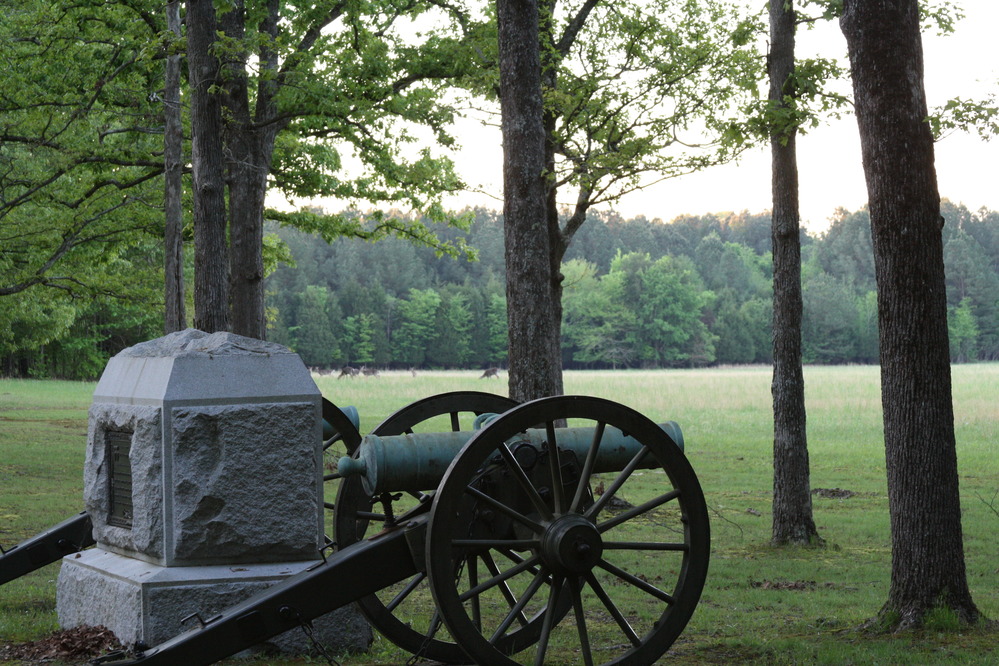 Cannon Overlooking Bloody Pond at Shiloh National Military Park