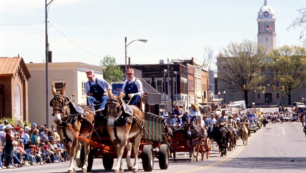 A parade travels down a street lined with spectators. Two men in blue overalls and red hats drive a team of mules pulling a wagon, followed by more riders and wagons. A clock tower is visible in the background.