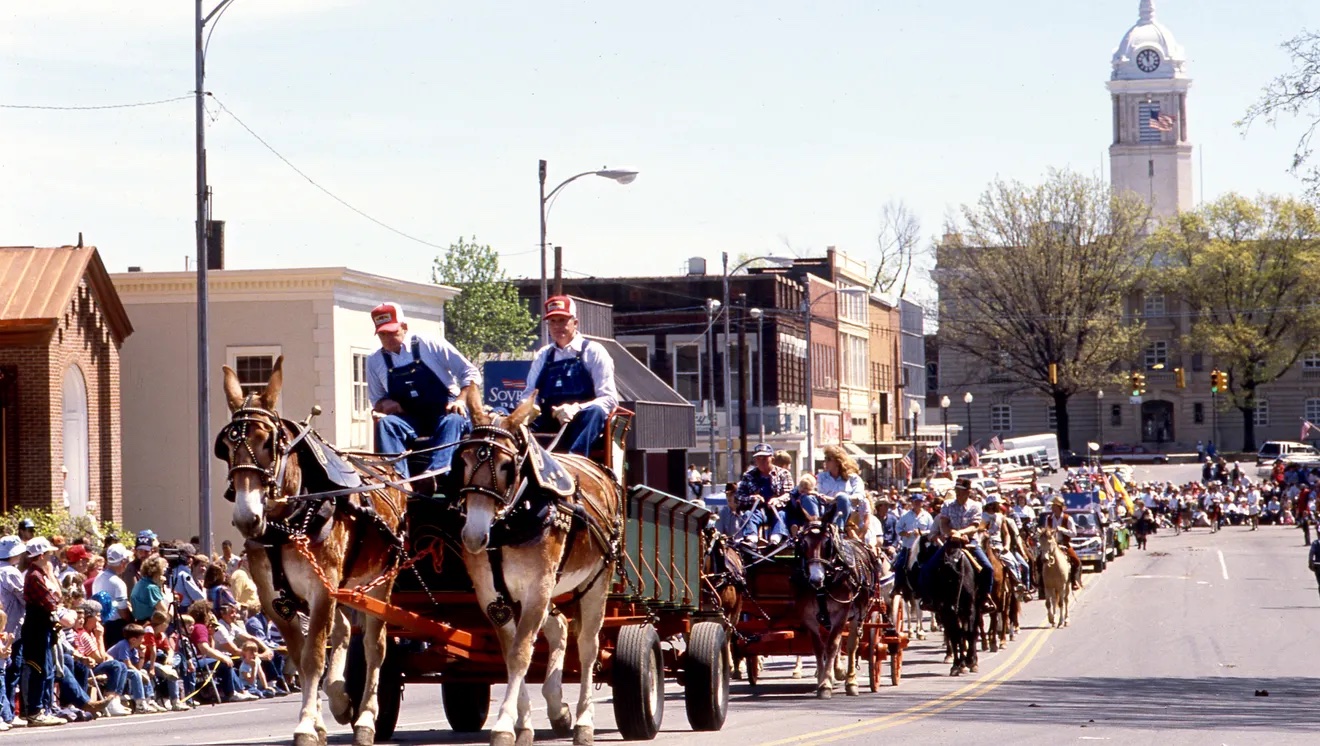Mules Rule in Columbia News Tennessee Department of Economic and