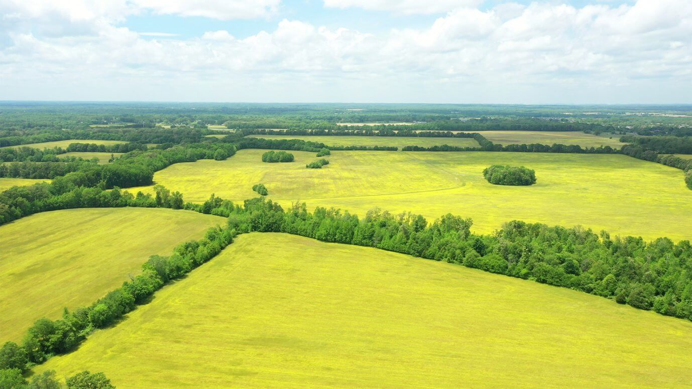 Aerial view of wide, open fields with green and yellow grass bordered by tree lines, under a partly cloudy sky stretching to the horizon.
