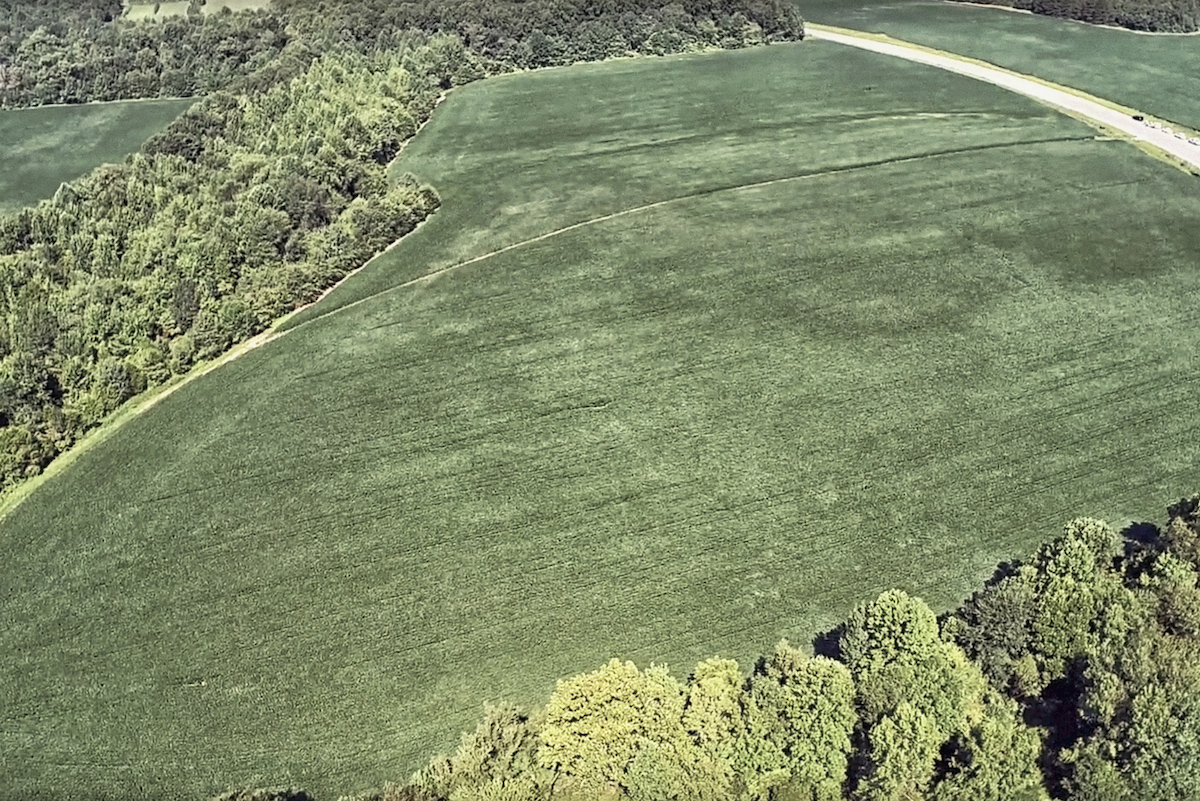 Aerial view of a large, green field bordered by dense trees, with a winding road visible at the edge of the field near the top right corner. The landscape appears lush and expansive.
