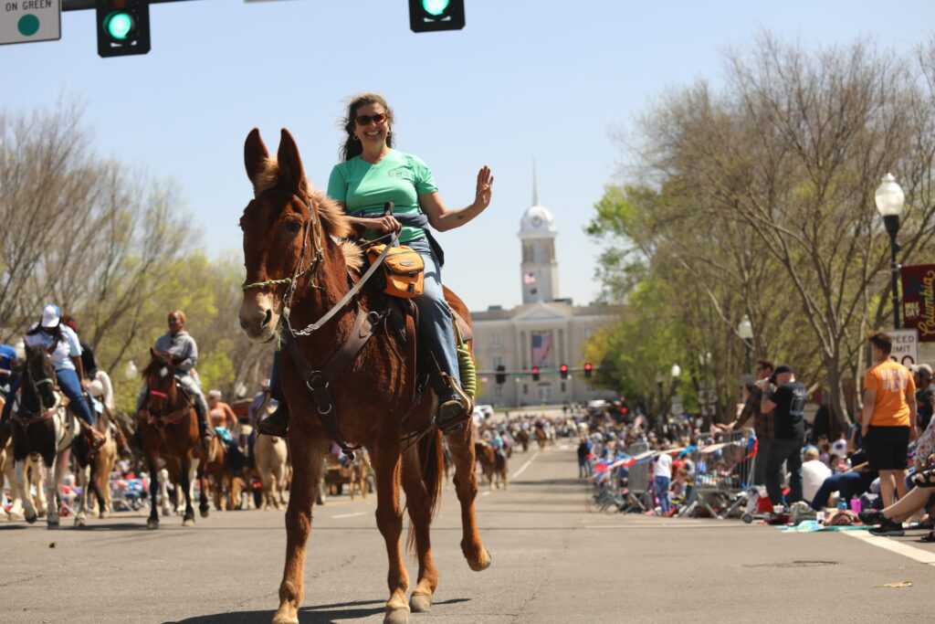 A woman riding a brown horse waves during a parade on a sunny day. Other riders and spectators line the street, and a white building with a clock tower is visible in the background.