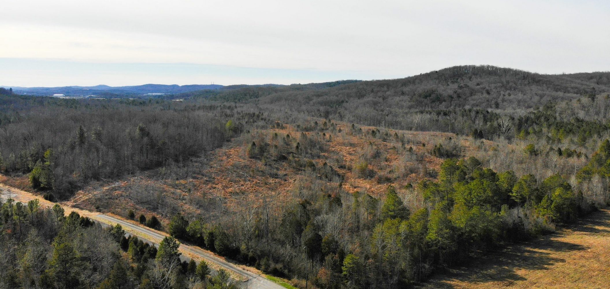 Aerial view of a hilly landscape with a mix of barren and forested areas. A road runs through the lower left, while leafless trees and patches of green vegetation cover the rolling hills under a cloudy sky.