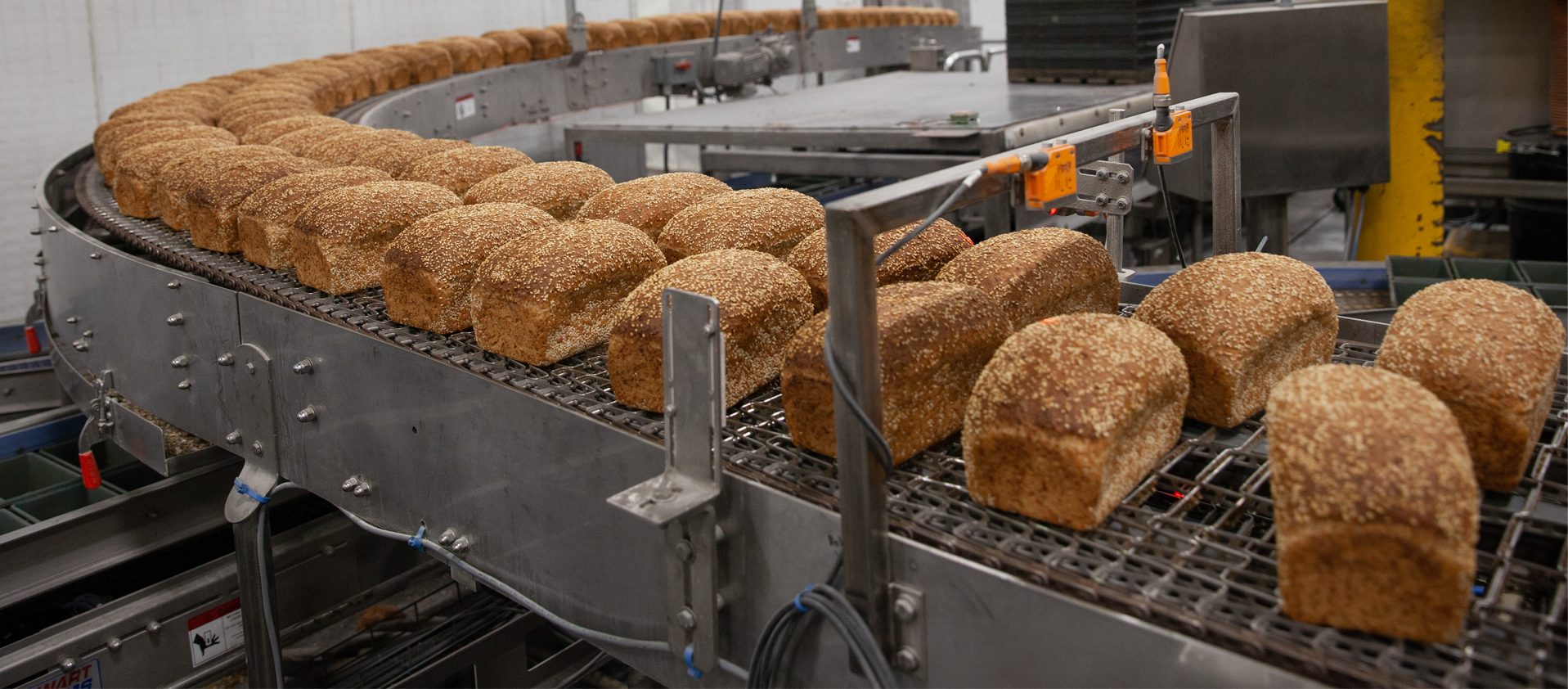 Loaves of multigrain bread move along a curved conveyor belt in an industrial bakery, surrounded by metal machinery and equipment.