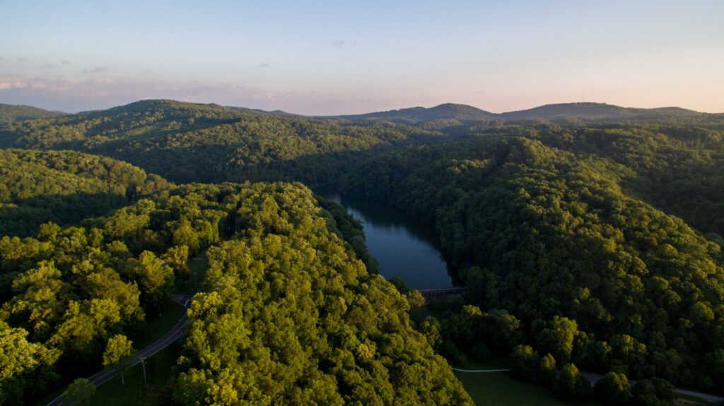 Aerial view of a lush, green forest with rolling hills and a winding river or lake in the center, captured during early morning or late afternoon with golden sunlight.