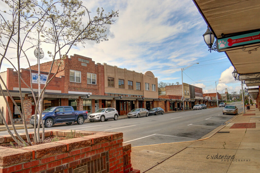 A small-town main street with parked cars, brick storefronts, and tree branches in the foreground under a partly cloudy sky. A sign for a local business hangs from an awning on the right.