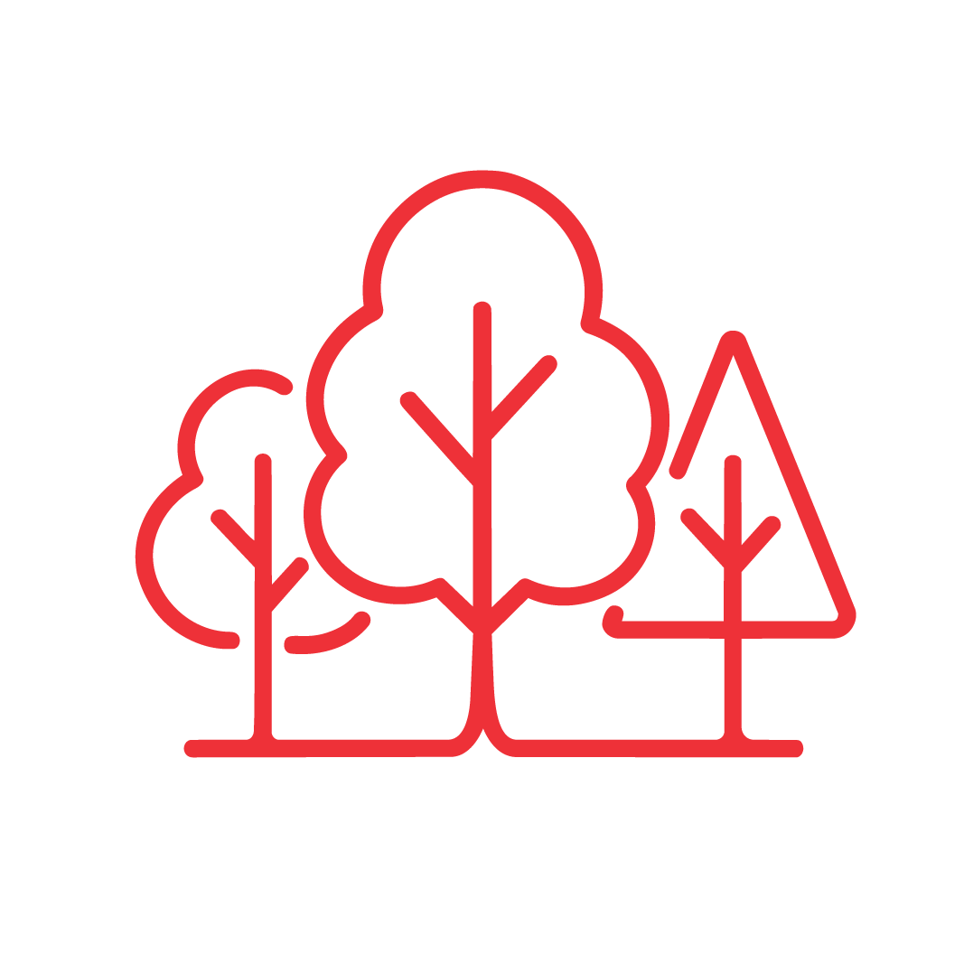 A simple red line drawing of three trees with different shapes on a white background: a rounded tree in the center, a smaller rounded tree on the left, and a triangular tree on the right.